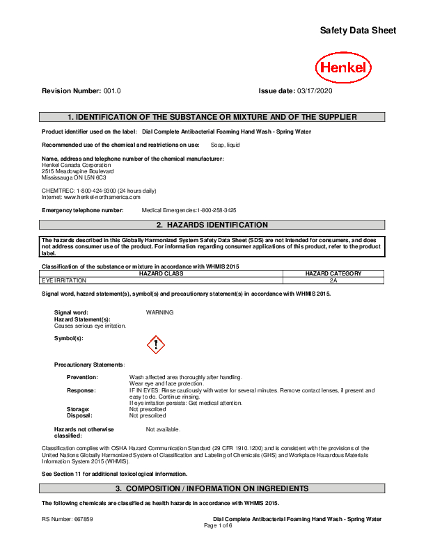 Dial Complete Antibacterial Foaming Hand Soap Refill, Spring Water