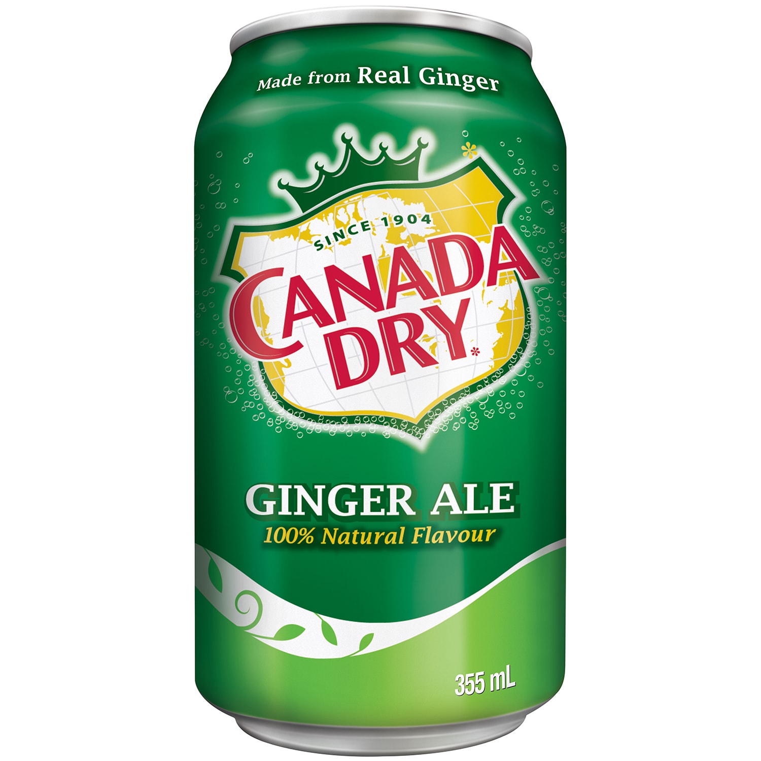 soda-gingembre-canada-dry-canettes-de-355-ml-carton-de-24-grand-toy