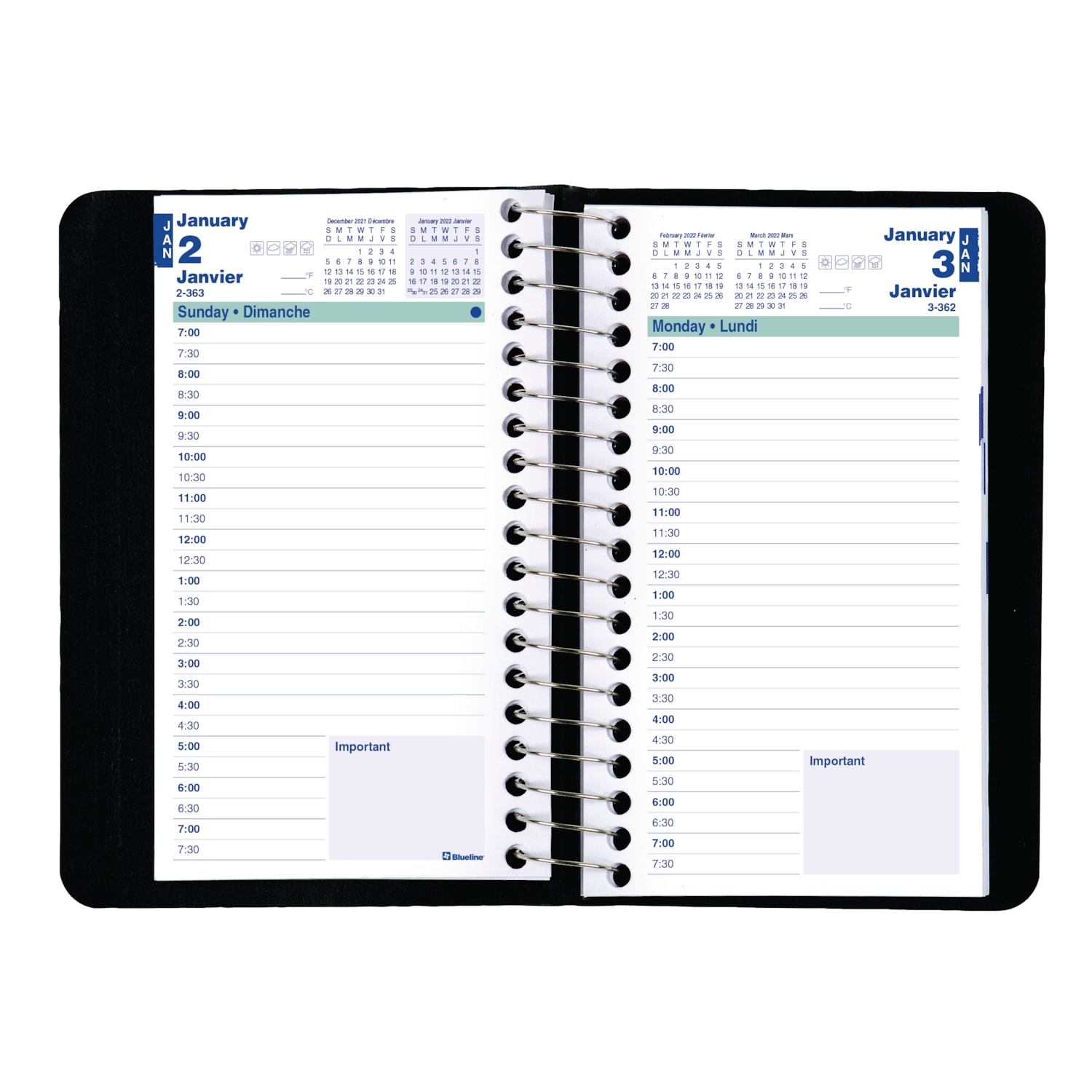 blueline planner plus daily diary