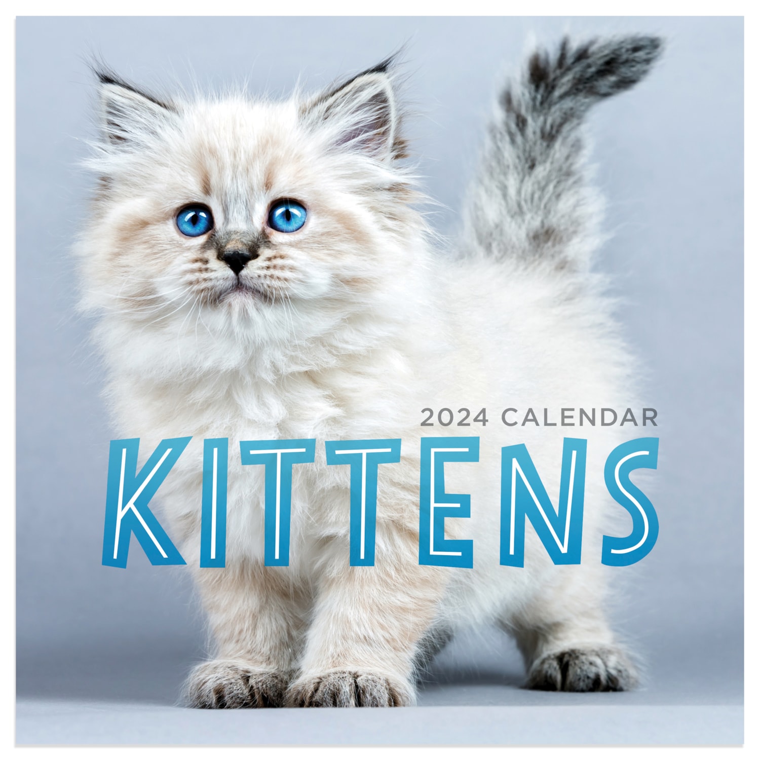 TF Publishing 2024 Kittens Mini Calendar Grand & Toy