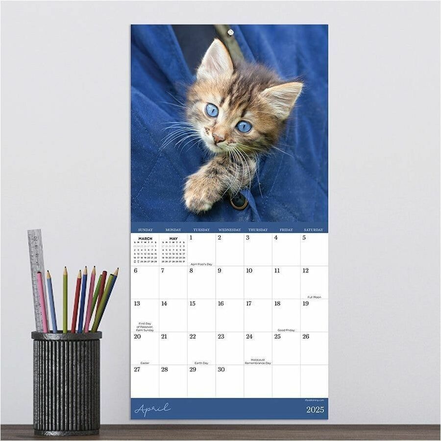 TF Publishing 2025 Kittens Mini Calendar Mini Monthly 12 Month