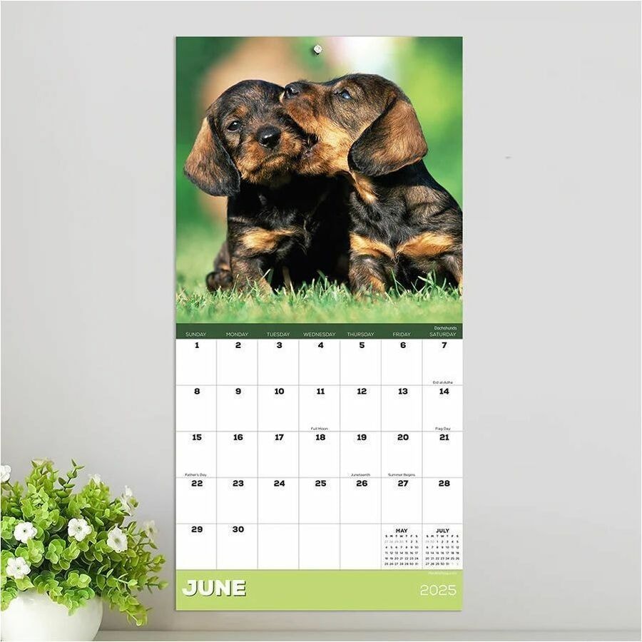 TF Publishing 2025 Puppies Mini Calendar Mini Monthly 12 Month