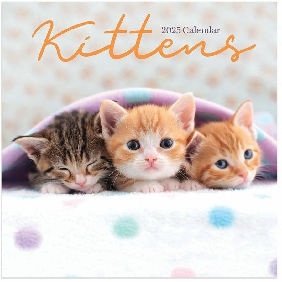 TF Publishing 2025 Kittens Mini Calendar Mini Monthly 12 Month