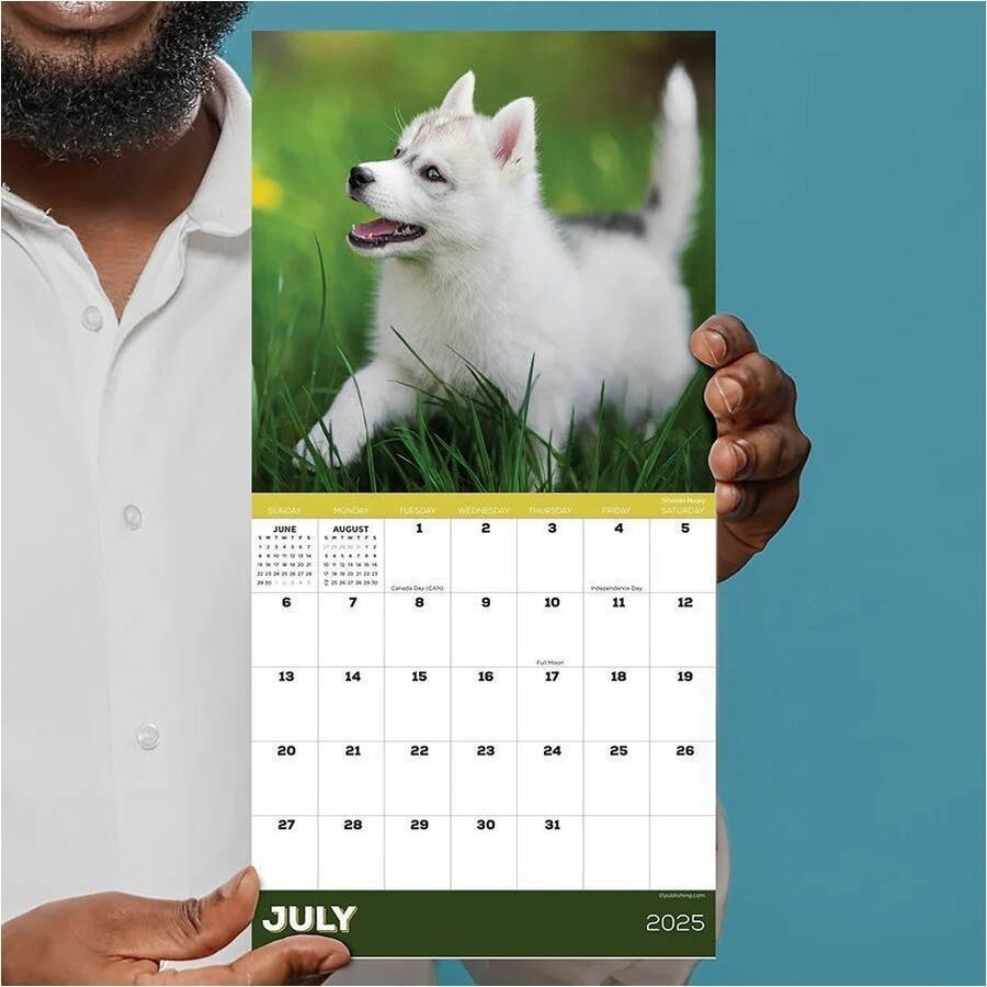 TF Publishing 2025 Puppies Mini Calendar Mini Monthly 12 Month