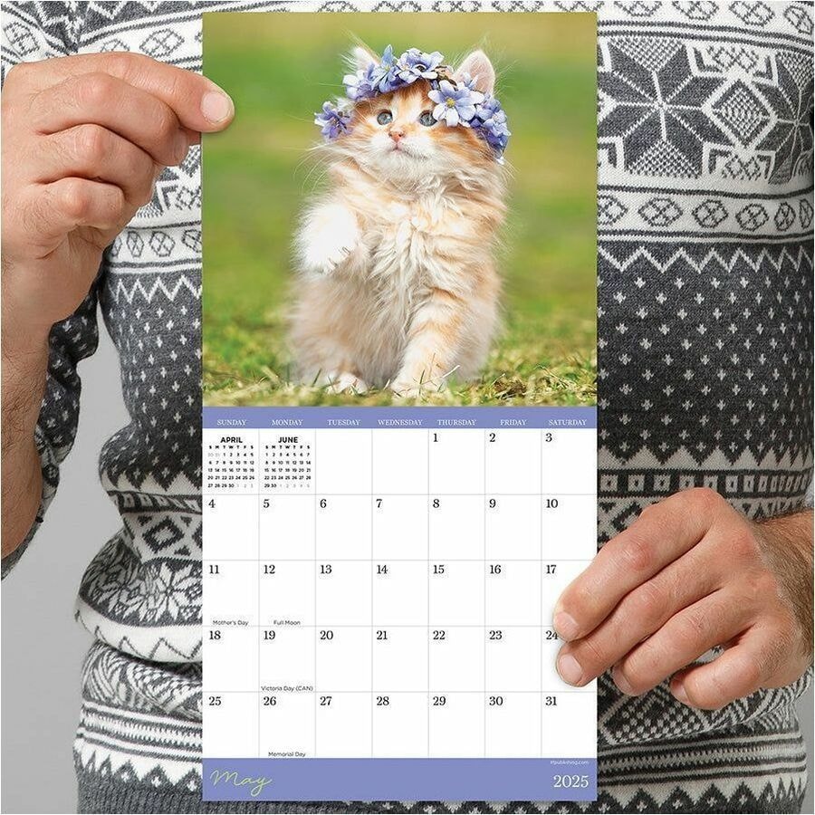TF Publishing 2025 Kittens Mini Calendar Mini Monthly 12 Month