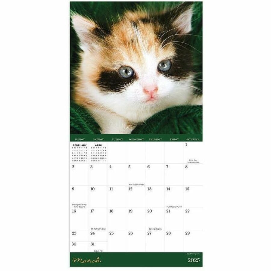 TF Publishing 2025 Kittens Mini Calendar Mini Monthly 12 Month