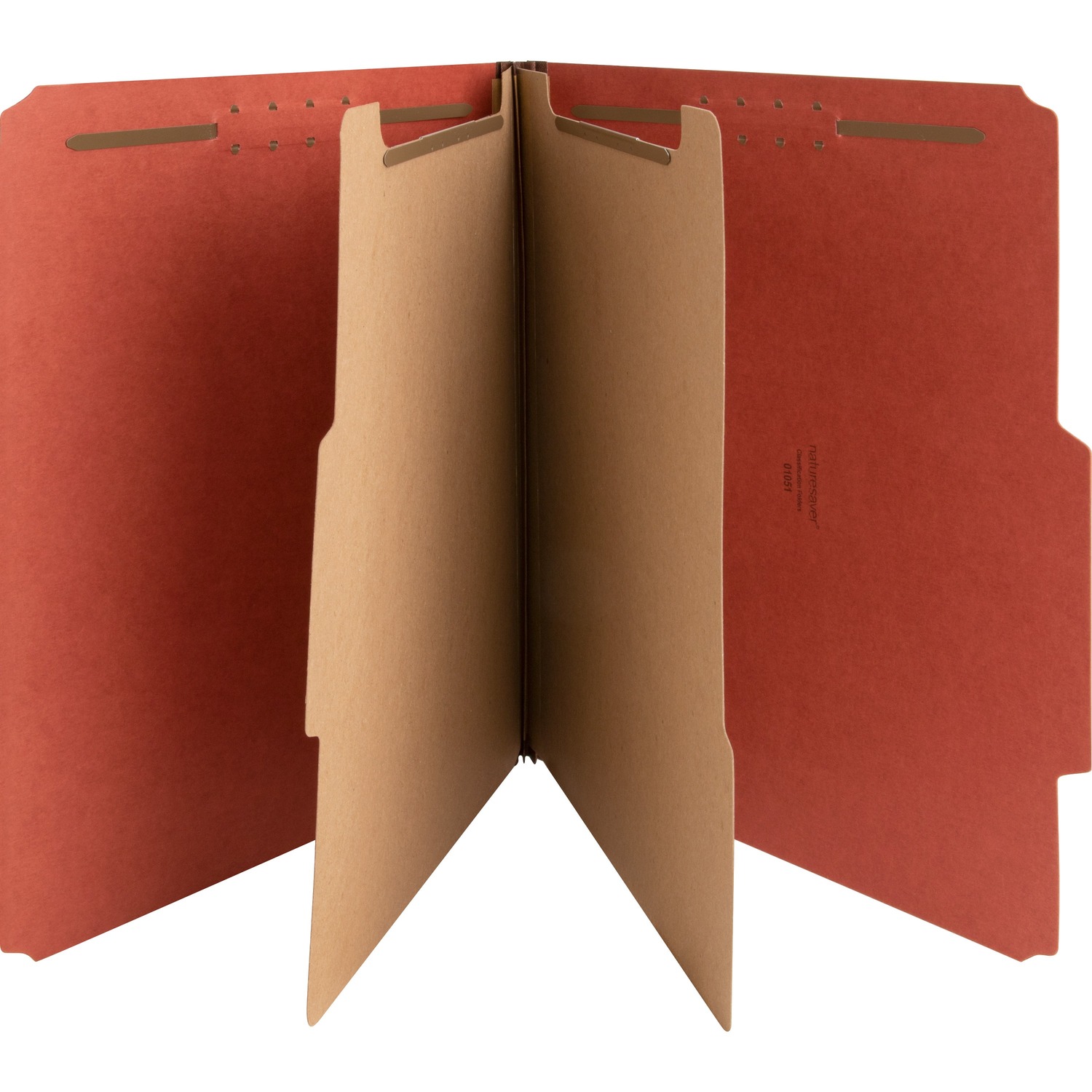 Special folder. Nature saver classification folder. letter folder.
