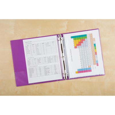 Avery Economy Sheet Protectors, Non-Glare, Letter Size, Pack of 50 SHEET PROTECTORS 8-1/2" X 11"