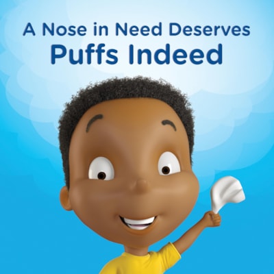 Puffs 2-Ply Plus Lotion Flat Box Facial Tissue, White, Box of 124 Sheets, Pack of 4 Boxes  