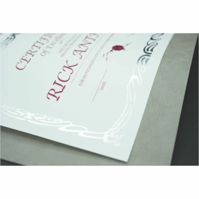 St. James® Certificate with Silver Foil - 24 lb (10886.22 g) Basis Weight - "Certificate of Excellence" - 8.50" (215.90 mm) Width x 11" (279.40 mm) Length - Inkjet, Laser Compatible - White with Silver Border - Linen - 12 / Pack ON WHITE LINEN RECYCLED W/ 30% PCW