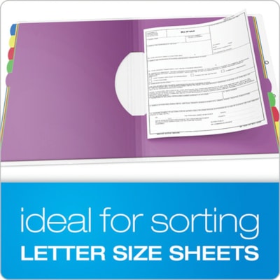 Esselte Translucent Poly Project Sorter - 10 x Divider(s) - 10 Tab(s) - 8.50" (215.90 mm) Divider Width x 11" (279.40 mm) Divider Length - Letter - Multicolor Divider - Elastic Closure, Moisture Resistant - 1 Each 10 POLY DIVIDERS HOLDS 8-1/2X11IN PAPER