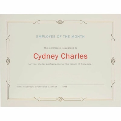 St. James® Linen Certificates with Foil - 8.50" (215.90 mm) Width x 11" (279.40 mm) Length - Laser, Inkjet Compatible - Ivory, Gold with Gold Border - Linen Paper - 15 / Pack  GOLD FOIL ON LINEN PAPER GATSBY STYLE - 15/PK