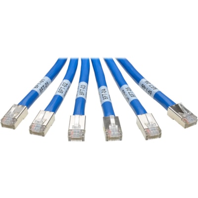 Tripp Lite series - Câble réseau N261-006-6MM-BL - 6 pi (1,83 m) Catégorie 6a Câble réseau pour Périphérique réseau, Commutateur, Panneau - First End : 6 x RJ-45 Réseau - Mâle - Second End : 6 x RJ-45 Réseau - Mâle - 10   cuivre tronc paquet 6xrj45 m / m 6