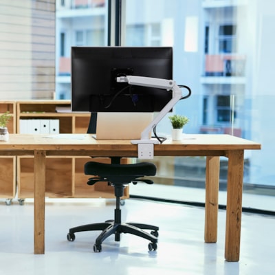 Ergotron Mounting Arm for LCD Monitor - Polished Aluminum - 1 Display(s) Supported - 34" Screen Support - 20 lb (9071.85 g) Load Capacity - 75 x 75, 100 x 100 ount Monitor Arm (polished alu minum)