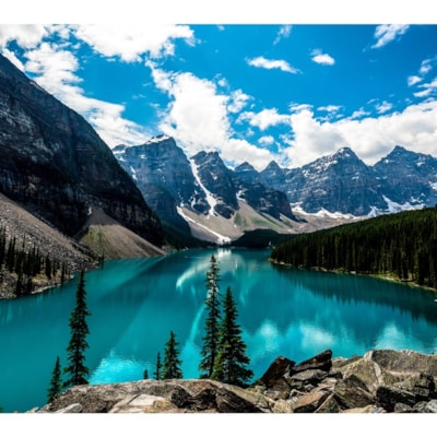 ViewSonic Digital ePoster EP5542 Digital Signage Display - 55" (1397 mm) LCD Cortex A73 - 2 GB DDR4 SDRAM - 3840 x 2160 - Direct LED - 400 cd/m² - 2160p - HDMI - USB - SerialEthernet - Android 8.0 Oreo - Energy Star  MNTR 