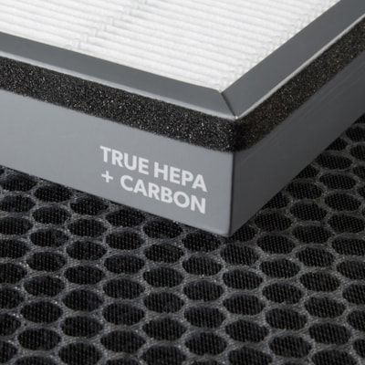TruSens Air Filter - HEPA/Activated Carbon - For Air Purifier - Remove Dust, Remove Airborne Particles, Remove Volatile Organic Compound, Remove Odor, Remove Virus, Remove Bacteria - 100% Particle Removal Efficiency Particles - 2 FOR TRUSENS Z-6000 