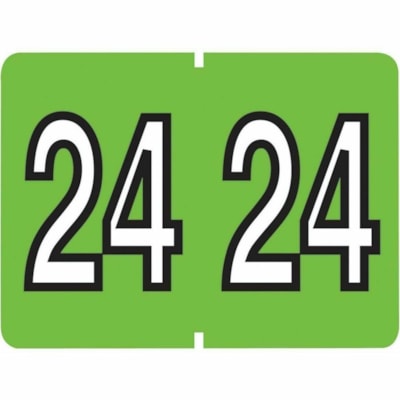 Pendaflex End Tab Year Labels - 2024 - Light Green - 500/Box - 3/4" (19.05 mm) Width x 15/16" (23.62 mm) Length - Light Green - 500 / Roll - 500 / Pack 500/BOX LIGHT GREEN 