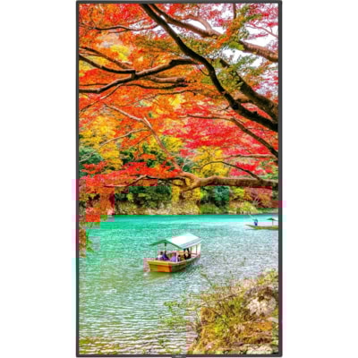 NEC Display 43" Wide Color Gamut Ultra High Definition Professional Display - 43" (1092.20 mm) LCD - High Dynamic Range (HDR) - 3840 x 2160 - 16:9 - 8 ms - Edge LED - 500 cd/m² - 2160p - HDMI - USB - SerialEthernet - Energy Star  MNTR 