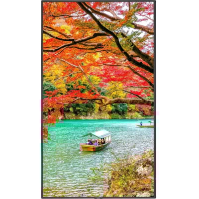 NEC Display 49" Wide Color Gamut Ultra High Definition Professional Display - 49" (1244.60 mm) LCD - High Dynamic Range (HDR) - 3840 x 2160 - 16:9 - 8 ms - Edge LED - 500 cd/m² - 2160p - HDMI - USB - SerialEthernet - Energy Star  MNTR 