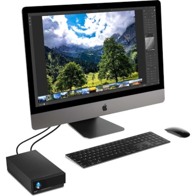 LaCie 1big STHS10000800 10 TB Desktop Hard Drive - External - Desktop PC, Notebook Device Supported - Thunderbolt 3, USB 3.0 - 7200rpm - 5 Year Warranty - Retail ERBOLT 3 + USB-C 