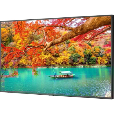 NEC Display 43" Wide Color Gamut Ultra High Definition Professional Display - 43" (1092.20 mm) LCD - High Dynamic Range (HDR) - 3840 x 2160 - 16:9 - 8 ms - Edge LED - 500 cd/m² - 2160p - HDMI - USB - SerialEthernet - Energy Star  MNTR 