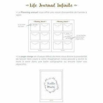 Quo Vadis Life Journal Planner - Monthly - 12 Month - Blue/Gray - Monthly Calendar - 1 LIFE JOURNAL INIFITE 15X21CM GREY BLUE  215 NUMBERED PAGE