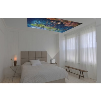 Epson EF-100 LCD Projector - 16:10 - White, Silver - 1280 x 800 - Front, Rear - 12000 Hour Normal Mode - 20000 Hour Economy Mode - HD - 2000 lm - HDMI - USB  PROJ 