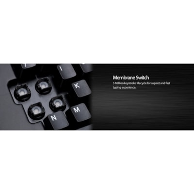 Adesso 2.4 GHz Wireless Ergonomic Trackball Keyboard - Wireless Connectivity - RF - 30 ft (9144 mm) - 2.40 GHz - USB Interface - 105 Key(s) - Next Track, Previous Track, Refresh, Search, Forward, Wake-up, Play/Pause, Volume Up, My Computer, Mute, Sleep, ... Hot Key(s) - English (US) - QWERTY Layout  s Media Ergonomic Trackball ke yboard with 20 windo