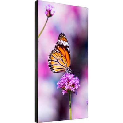 NEC Display 55" Ultra-Narrow Bezel Professional-Grade Display - 55" (1397 mm) LCD - 1920 x 1080 - Direct LED - 500 cd/m² - 1080p - HDMI - USB - DVI - SerialEthernet KMNTR 