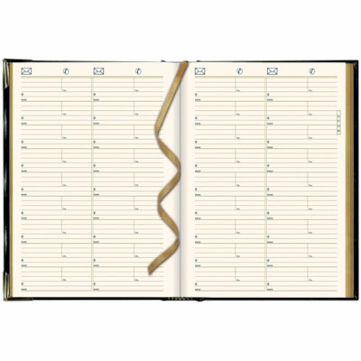 Brownline Executive Daily Planner, 10-7/8" x 7-5/8" , Trilingual, Assorted - Julian Dates - Daily - January 2025 to December 2025 - 7:00 AM to 10:45 PM - Quarter-hourly - 1 Day Single Page Layout - 7 5/8" (193.68 mm) x 10 7/8" (276.23 mm) Sheet Size - Sewn - Assorted - Leather - Hard Cover, Ribbon M  