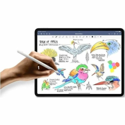 Apple - Tablette iPad (11th Generation) A3354 - 11 po - 6 Go - 256 Go Stockage - Argenté - A16 Bionic Penta-core (5 c¿urs) 3,40 GHz - 2360 x 1640 - Technologie IPS, Ecran Liquid Retina, Technologie True Tone Affichage - 12 Mégapixels Caméra frontale  SYST 