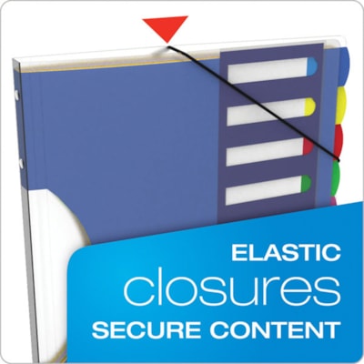 Esselte Translucent Poly Project Sorter - 10 x Divider(s) - 10 Tab(s) - 8.50" (215.90 mm) Divider Width x 11" (279.40 mm) Divider Length - Letter - Multicolor Divider - Elastic Closure, Moisture Resistant - 1 Each 10 POLY DIVIDERS HOLDS 8-1/2X11IN PAPER