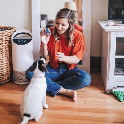 TruSens Smart Air Purifier, Medium, with Air Quality Monitor, Z-2500 - HEPA, Activated Carbon, Ultraviolet, PureDirect - 375 Sq. ft. (34838640 mm²) WITH SENSORPOD - MEDIUM ROOM 8 X 8 X 22 IN - WHITE