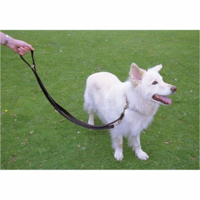 Burgham Company of Animals Halti Training Lead-Lge  