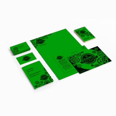 Astrobrights - Carton coloré - Vert Gamma - format lettre - 8 1/2 po (215,90 mm) x 11 po (279,40 mm) - 65 lb (29483,50 g) Poids de Base - Lisse - Green Seal - Sans acide, Sans lignine, Résistants, Heavyweight - Vert gamma - 250 / emballage FSC LASER JET D'ENCRE GARANTIE GAMMA VERT