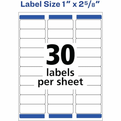 Avery Mailing Label 05160 Easy Peel - 1" Width x 2 5/8" Length - 3000 / Box - 30/Sheet - Laser - White 30/SHEET PERMANENT ADHESIVE AVERY 100 SHEETS/BX 3000/BX