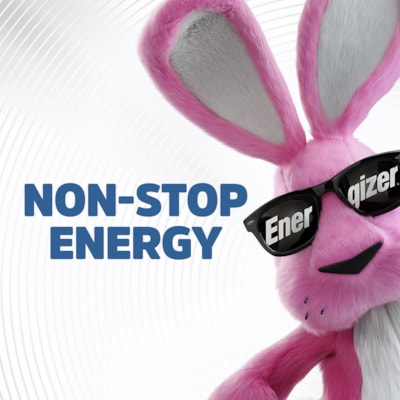 Energizer Coin Cell Lithium General Purpose Battery - For Multipurpose - 3 V DC - 2 / Pack BATTERY 2PK 
