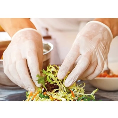 Globe Disposable Vinyl Gloves Clear Medium 100/box - 4 mil (0.10 mm) Thickness x 9.06" (230.12 mm) Glove Length - Chemical Protection - Medium Size - For Right/Left Hand - Clear - Latex-free, Water Proof, Allergen-free, Durable, BPA-free - For Food, Beauty Salon, General Purpose, Industrial, Paintin POWDER FREE  4 MIL BOX OF 100