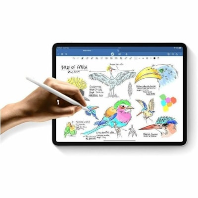 Apple iPad Pro (5th Generation) A2837 Tablet - 11" - Apple M4 - 16 GB - 2 TB Storage - 5G - Silver - M4 Deca-core (10 Core) 4.40 GHz - 2420 x 1668 - True Tone Technology, Ultra Retina XDR Display Display - Cellular Phone Capability - 5G NR, UMTS, HSPA, HSDPA, DC-HSDPA, HSPA+, LTE, EDGE, GPRS - 12 Me  SYST 