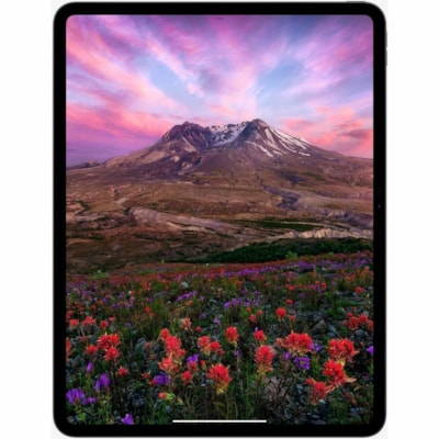 Apple iPad Pro (7th Generation) Tablet - 13" - Apple M4 - 16 GB - 2 TB Storage - iPadOS 17 - 5G - Space Black - M4 Deca-core (10 Core) 4.40 GHz - 2752 x 2064 - True Tone Technology, Ultra Retina XDR Display Display - Cellular Phone Capability - 5G NR, GPRS, EDGE, LTE, UMTS, HSPA, HSPA+, DC-HSDPA - 1  SYST 