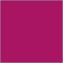 Davis Group Premium Economy, Round Ring, Binder, 6 Pack (Pink, 2") - Letter - 8 1/2" (215.90 mm) x 11" (279.40 mm) Sheet Size - 400 Sheet Capacity - 3 x 2" (50.80 mm) Ring(s) - Fastener(s): Round Ring - Pocket(s): 2, Internal - Polypropylene - Pink - 7.60 lb (3447.30 g) - Spine Label, PVC-free - 6 /  