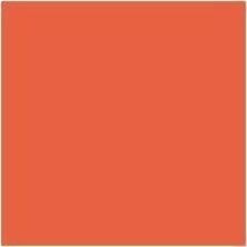 Davis Group - Reliure à anneaux 2313-19-06 - format lettre - format 8 1/2 po (215,90 mm) x 11 po (279,40 mm) - 400 Capacité en feuilles - 3 x 2 po (50,80 mm) Ring(s) - Fastener(s) : Anneau rond - Pocket(s) : 2, Interne - Polypropylène - Orange - 7,60 lb (3447,30 g) - Étiquette dos  