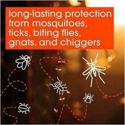 SC Johnson Deep Woods Insect Repellent, 230 g Aerosol Spray - Spray - Kills Flies, Mosquitoes, Deer Flies, Gnats, Chiggers, Fleas, Ticks - 8.11 oz (230 g) 230G / INSECT REPELLENT 
