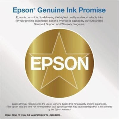 Epson Original Ink Cartridge - Inkjet - Photo Black  INK 