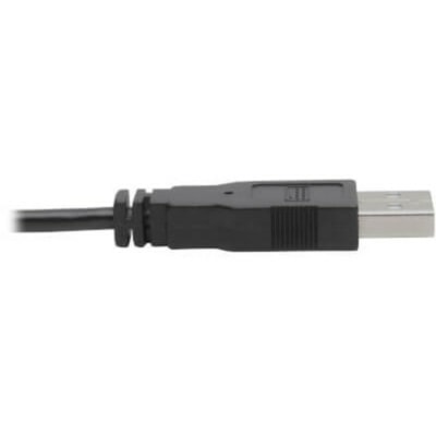 Tripp Lite series P760-010-DVI KVM Cable - 10 ft (3.05 m) KVM Cable for Monitor, Keyboard/Mouse, KVM Switch - First End: 1 x DVI-I (Dual-Link) Digital Video - Male - Second End: 1 x DVI-I (Dual-Link) Digital Video - Male, 2 x USB 2.0 Type A - Male - 480 Mbit/s - Supports up to 1920 x 1200 - 30 AWG - t -2x Male2x Male  1920 x 1200 1080p @ 60 Hz  10 ft