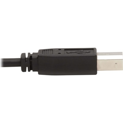 Tripp Lite series P784-006-U KVM Cable - 6 ft (1.83 m) KVM Cable for KVM Switch, Computer, Scanner, Smart Card, Biometric Reader - First End: 1 x 24-pin DVI-I (Dual-Link) Digital Video - Male, 1 x Mini-phone Stereo Audio - Male, 1 x USB 2.0 Type A - Male - Second End: 1 x 24-pin DVI-I (Dual-Link) Di I-I Left Connector - Male Left  Gender - 3.5mm USB-