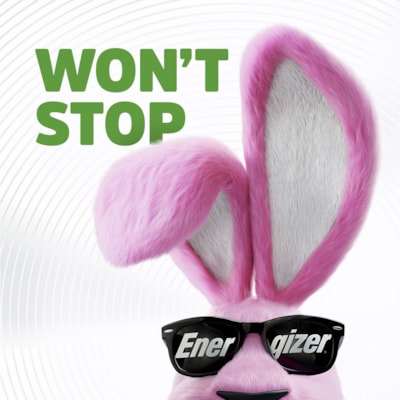 Energizer Recharge Universal Rechargeable D Batteries - For Multipurpose - Battery Rechargeable - D - 2500 mAh - 2 / Pack FED GOV'T 