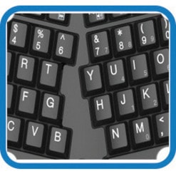 Adesso Tru-Form Media 3150 - 2.4 GHz Wireless Ergo Trackball Keyboard - Wireless Connectivity - RF - 30 ft (9144 mm) - 2.40 GHz - USB 2.0 Interface - 87 Key(s) - 20 Hot Key(s) - On/Off Switch, Connect, Play/Pause, Stop, Previous Track, Next Track, Mute, Volume Up, Volume Down Hot Key(s) - Windows Vi rgo  Mini Trackball Keyboard.  Removeable 1000 tra