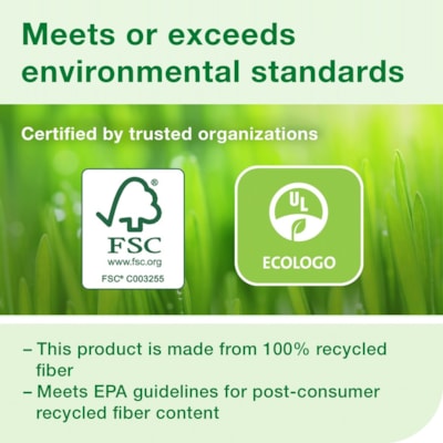 Papier hygiénique Recyclé TORK - 2 Pli - largeur de 3,60 po (91,44 mm) x longueur de 1000 pi (304,80 m) - 1000 Feuilles/Rouleau - diamètre du rouleau 8,80 po (223,52 mm) - 3,30 po (83,82 mm) Matériau - Blanc - Papier - 12 / Carton BOÎTE DE 12 3 6 PO X 1 000 PI  BLANC
