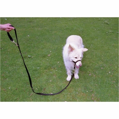 Burgham Company of Animals Halti Training Lead-Lge  